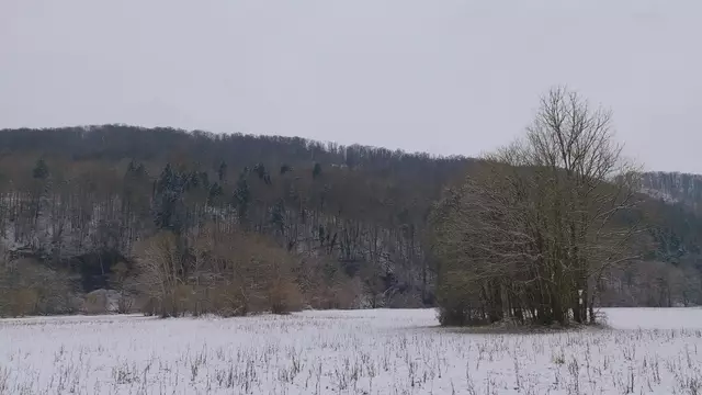 Bissle raus❄️😍❄️ | Foto: Ralf Röser