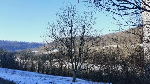 Bissle raus❄️❄️🌞🌞😍😍🏚️🏚️ | Foto: Ralf Röser