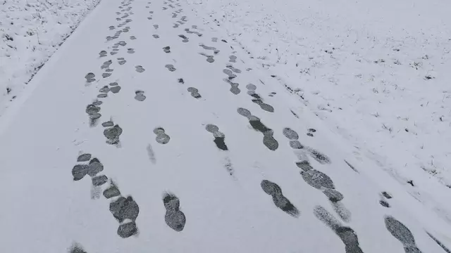 Bissle raus❄️😍❄️ | Foto: Ralf Röser