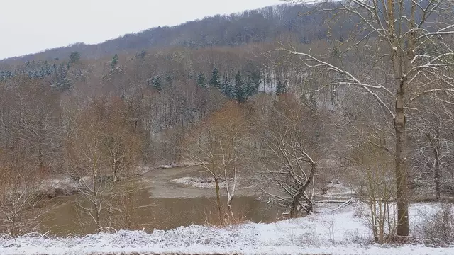 Bissle raus❄️😍❄️ | Foto: Ralf Röser