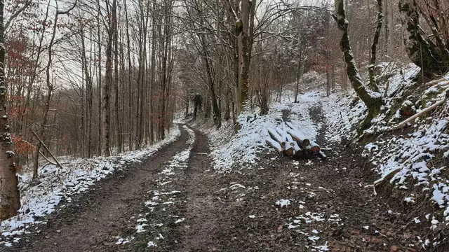 Bissle raus❄️❄️🌞🌞😍😍🏚️🏚️ | Foto: Ralf Röser