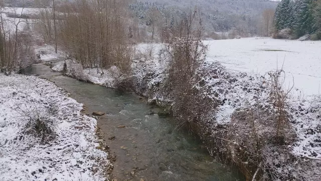 Bissle raus❄️😍❄️ | Foto: Ralf Röser