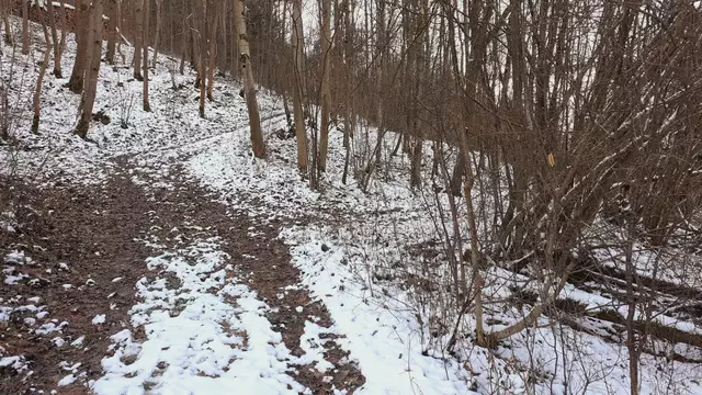 Bissle raus❄️❄️🌞🌞😍😍🏚️🏚️ | Foto: Ralf Röser