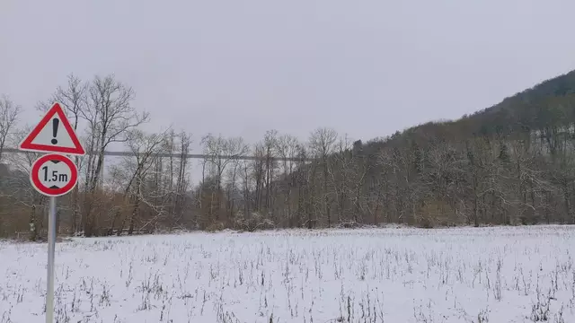 Bissle raus❄️😍❄️ | Foto: Ralf Röser