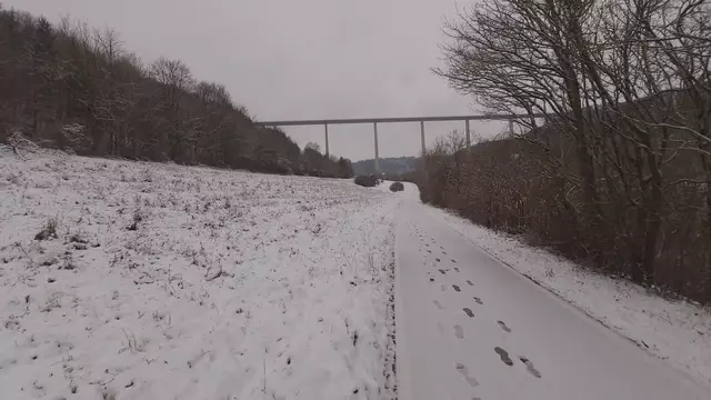 Bissle raus❄️😍❄️ | Foto: Ralf Röser