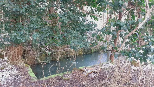 Bissle raus❄️❄️🌞🌞😍😍🏚️🏚️ | Foto: Ralf Röser