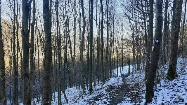 Bissle raus❄️❄️🌞🌞😍😍🏚️🏚️ | Foto: Ralf Röser