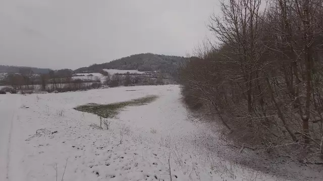 Bissle raus❄️😍❄️ | Foto: Ralf Röser