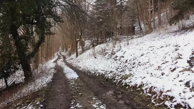 Bissle raus❄️❄️🌞🌞😍😍🏚️🏚️ | Foto: Ralf Röser