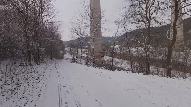 Bissle raus❄️😍❄️ | Foto: Ralf Röser