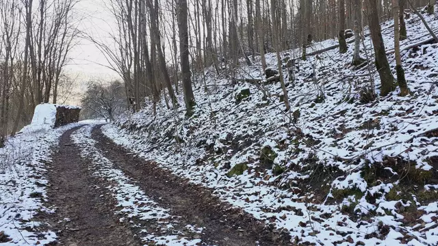Bissle raus❄️❄️🌞🌞😍😍🏚️🏚️ | Foto: Ralf Röser