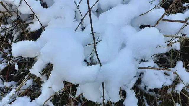 Bissle raus❄️❄️🌞🌞😍😍🏚️🏚️ | Foto: Ralf Röser