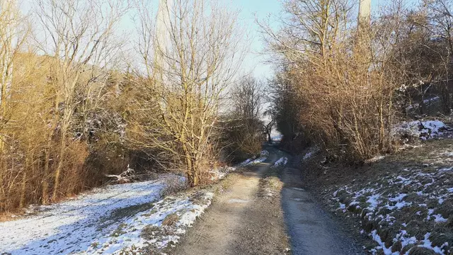 Bissle raus❄️❄️🌞🌞😍😍🏚️🏚️ | Foto: Ralf Röser