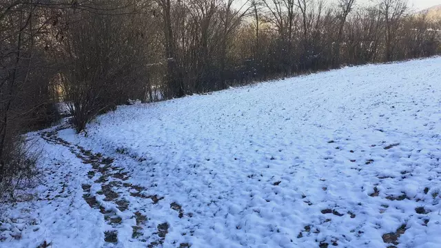 Bissle raus❄️❄️🌞🌞😍😍🏚️🏚️ | Foto: Ralf Röser