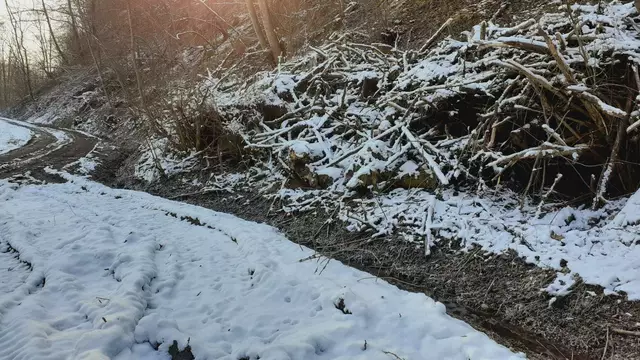 im schönen Grimmbachtal❄️😍❄️ | Foto: Ralf Röser