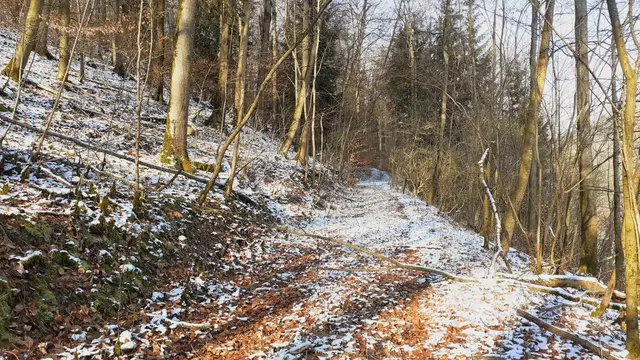 im schönen Grimmbachtal❄️😍❄️ | Foto: Ralf Röser