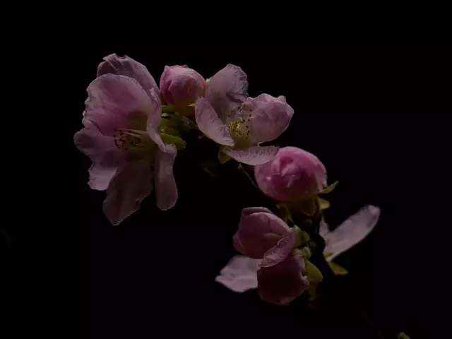 Foto: Eigenes Bild TB