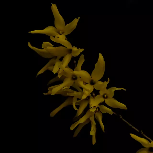 Foto: Eigenes Bild TB