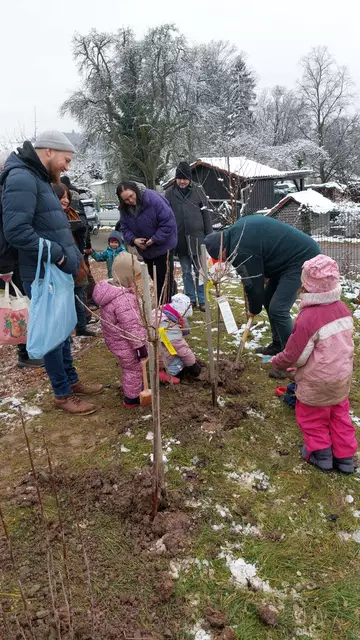 Beerensträucher werden gepflanzt | Foto: Carina Kurz