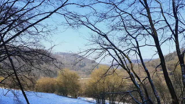 im schönen Grimmbachtal❄️😍❄️ | Foto: Ralf Röser