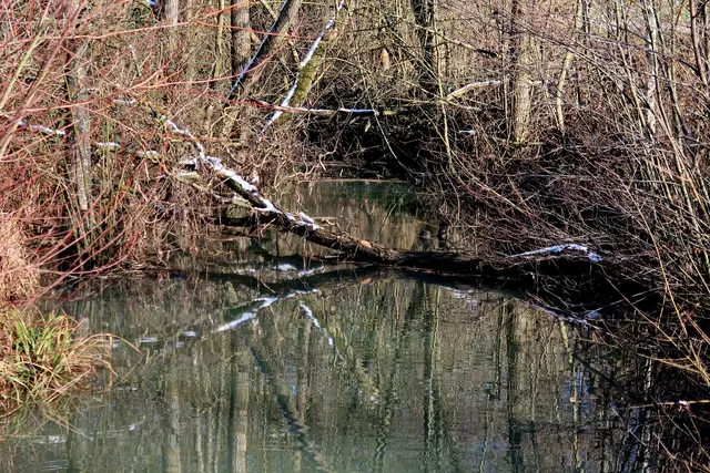 Foto: Eduard Warenik