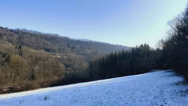 im schönen Grimmbachtal❄️😍❄️ | Foto: Ralf Röser