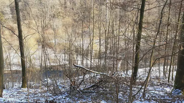 im schönen Grimmbachtal❄️😍❄️ | Foto: Ralf Röser