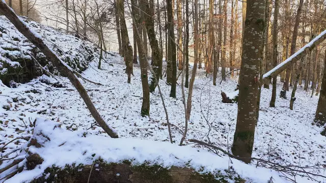 im schönen Grimmbachtal❄️😍❄️ | Foto: Ralf Röser