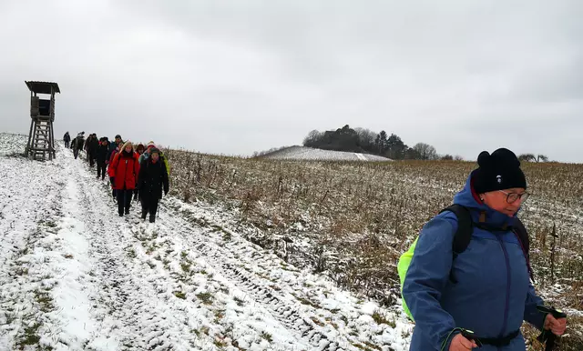 Abstieg ins Söhlbachtal - im Hintergrund die Ruine Helfenberg. | Foto: Isolde Reitz