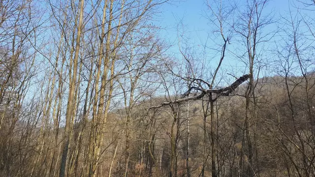 im schönen Grimmbachtal❄️😍❄️ | Foto: Ralf Röser