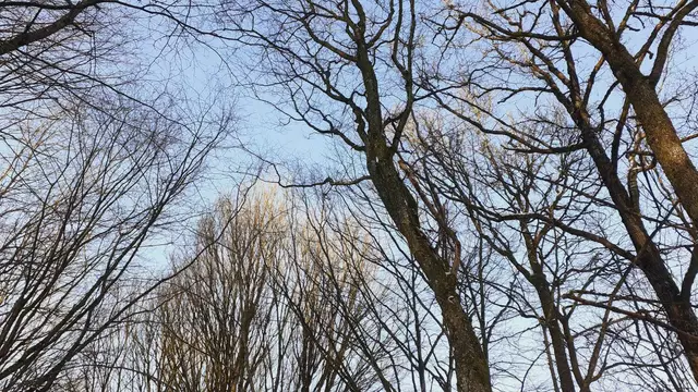 im schönen Grimmbachtal❄️😍❄️ | Foto: Ralf Röser