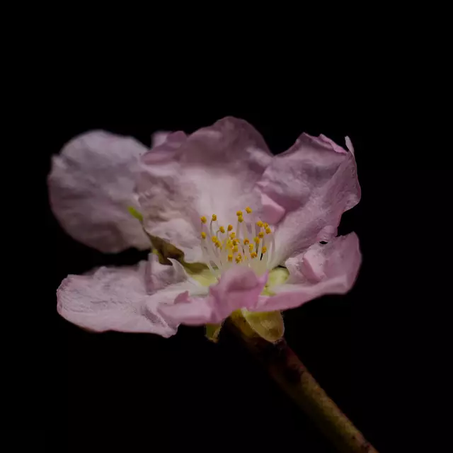 Foto: Eigenes Bild TB