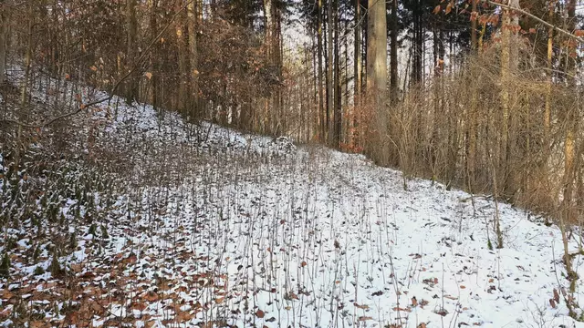 im schönen Grimmbachtal❄️😍❄️ | Foto: Ralf Röser