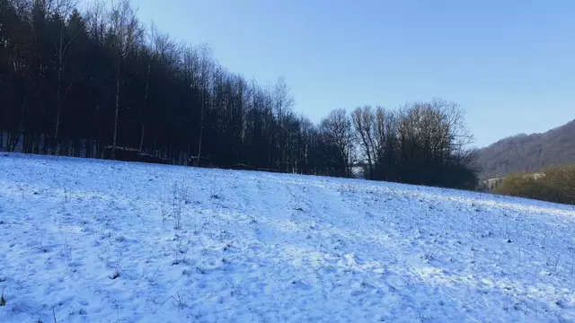im schönen Grimmbachtal❄️😍❄️ | Foto: Ralf Röser