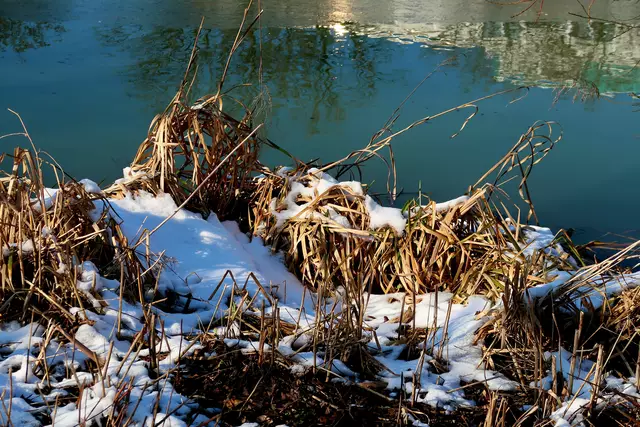 Foto: Eduard Warenik