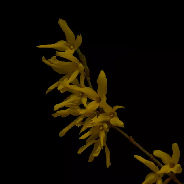 Foto: Eigenes Bild TB