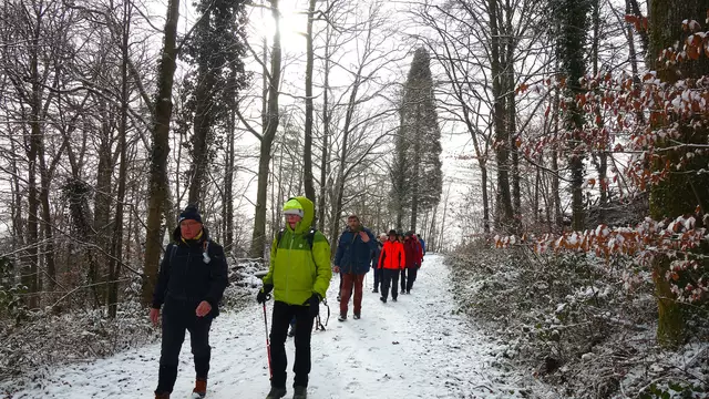 Herrlich, auf schneebedeckten Waldwegen! | Foto: Isolde Reitz
