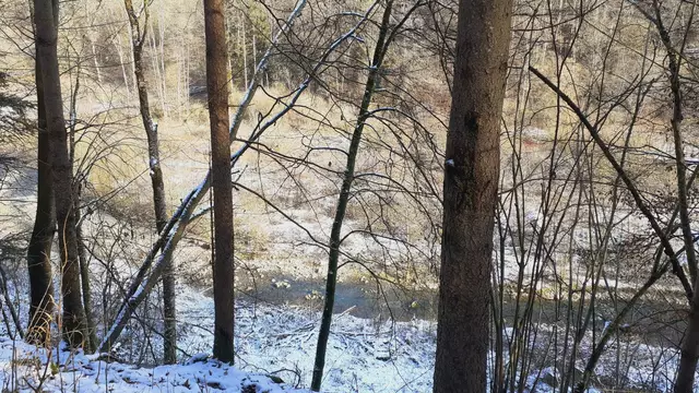 im schönen Grimmbachtal❄️😍❄️ | Foto: Ralf Röser