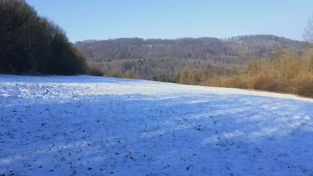 im schönen Grimmbachtal❄️😍❄️ | Foto: Ralf Röser