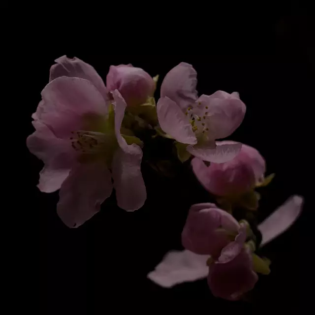 Foto: Eigenes Bild TB