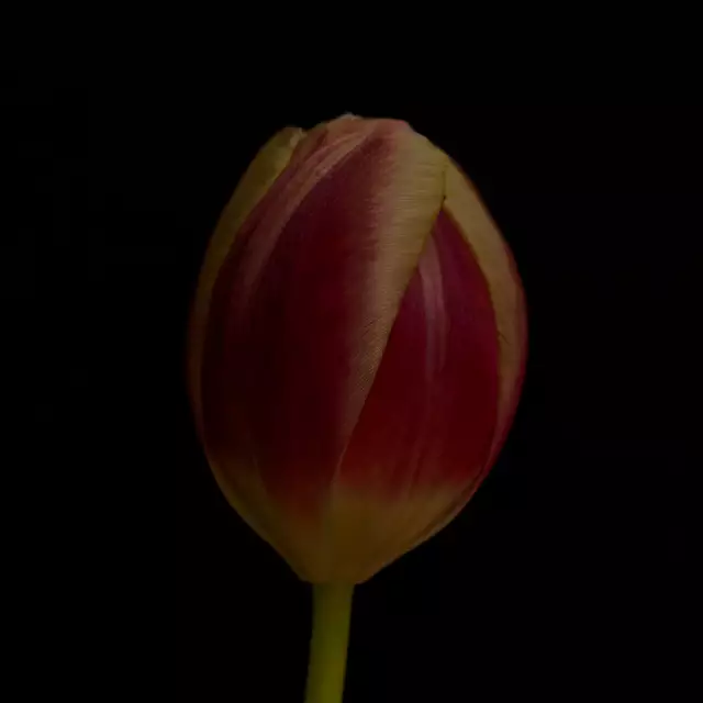 Foto: Eigenes Bild TB