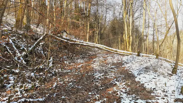 im schönen Grimmbachtal❄️😍❄️ | Foto: Ralf Röser