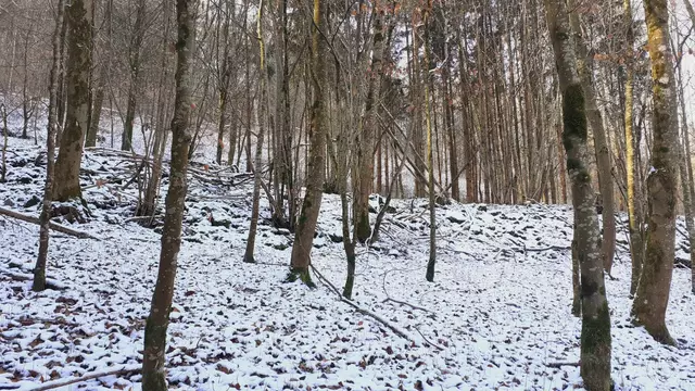 im schönen Grimmbachtal❄️😍❄️ | Foto: Ralf Röser