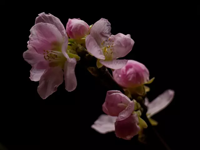 Foto: Eigenes Bild TB