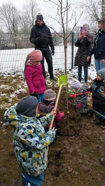 Im Sommer kann hier geerntet werden | Foto: Carina Kurz