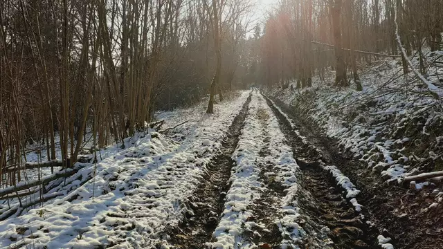 im schönen Grimmbachtal❄️😍❄️ | Foto: Ralf Röser