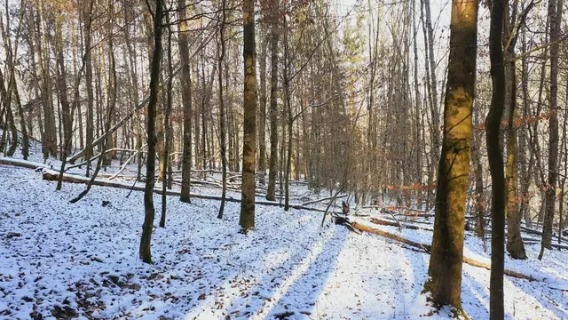 im schönen Grimmbachtal❄️😍❄️ | Foto: Ralf Röser