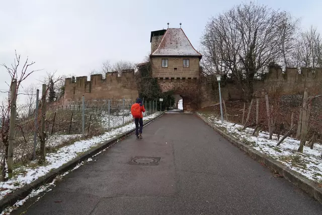 Foto: Eduard Warenik