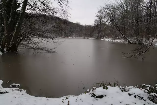 Foto: Eduard Warenik