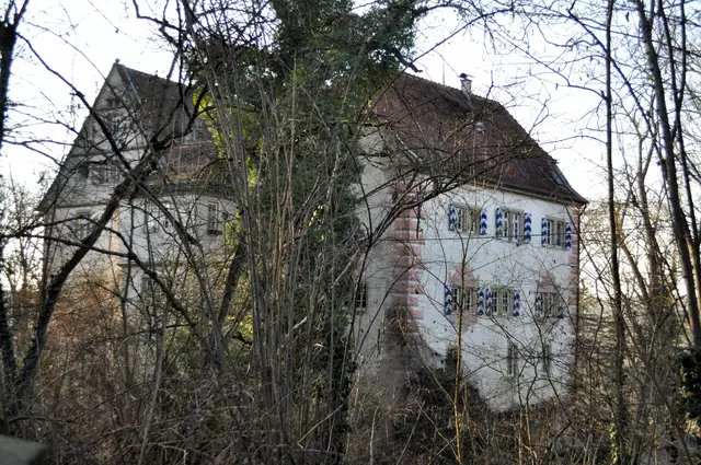 Die Strasse von Kleinbottwar nach Steinheim läuft direkt an der Burgmauer vorbei. Und ab und an kann man das Schloss zwischen der dichten Vegetation sehen. | Foto: Daniela Somers